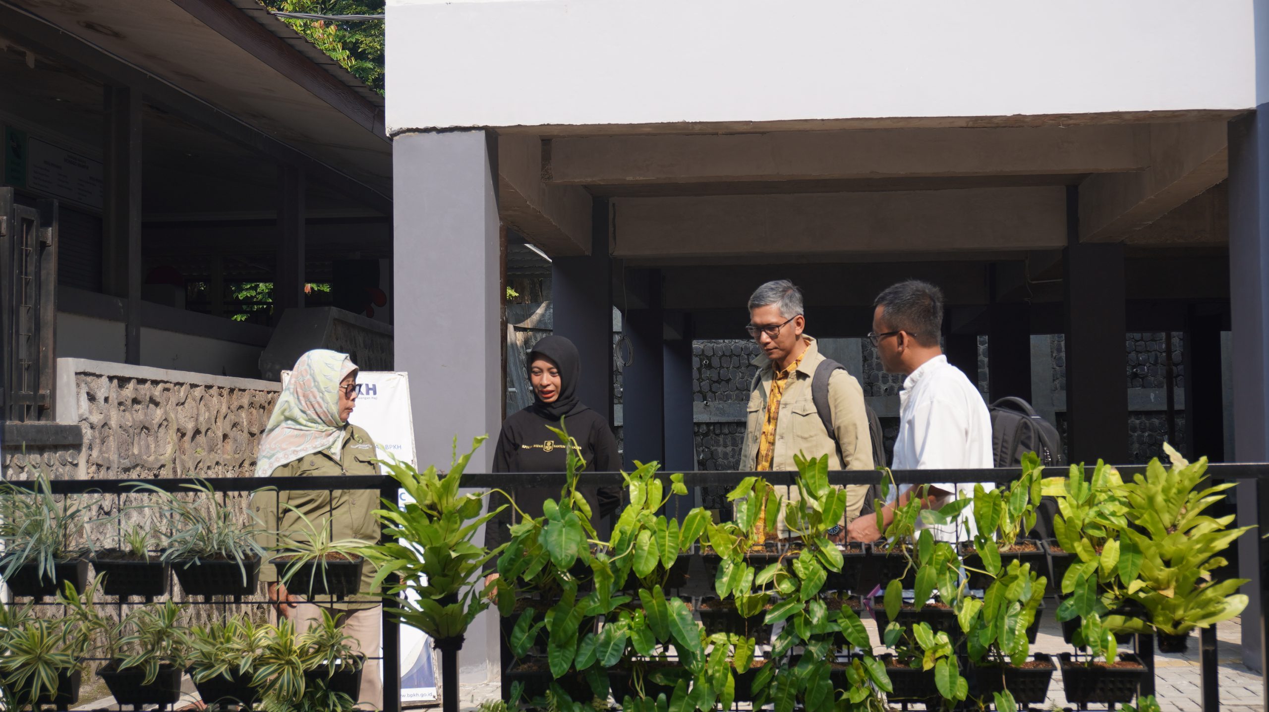 FEB UNS Optimalkan Penghijauan Kampus melalui Inovasi Vertical Garden